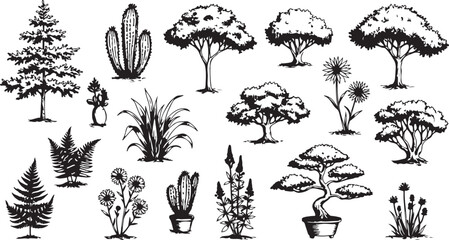 Hand Drawn Trees Cacti Ferns and Flowers Black and White Illustrations pine tree