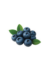 blueberries isolated on white background