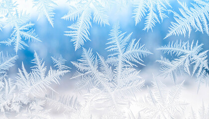 A soft and airy background of fluffy blue and white feathers, creating a dreamy and gentle texture.