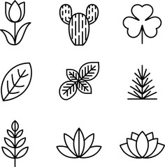 Stylized tulip leaf and cactus illustration with vibrant colors