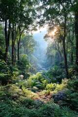 Obraz premium Lush jungle valley at dawn