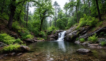 Obraz premium Lush forest waterfall scene (2)