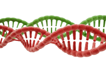 Isolated Double Helix DNA Structure for Genetics and Medical Research