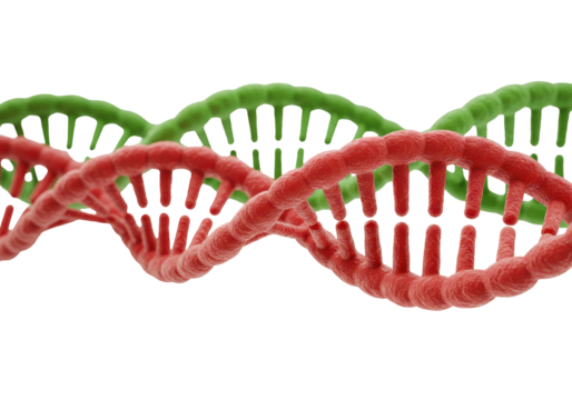 Isolated Double Helix DNA Structure for Genetics and Medical Research