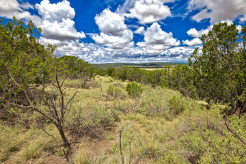 At Gran Quivira, you'll see unique grey San Andres limestone ruins of two mission churches, as well as excavated pueblo structures.