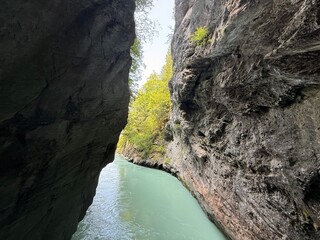mountain river in canyon  in the mountains 