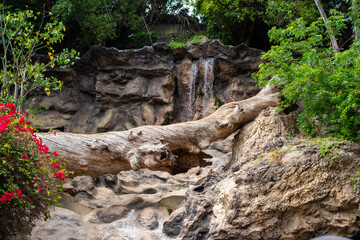 Lush tropical waterfall with fallen tree trunk surrounded by vibrant vegetation