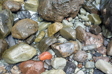 Variety of wet river rocks and pebbles in natural sunlight