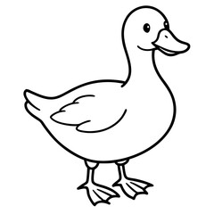 duck vector illustration