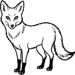 fox vector illustration