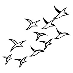 silhouette of a bird