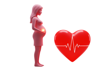 Isolated 3D Concept of Maternal and Fetal Health During Pregnancy
