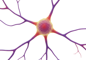 Isolated 3D Microscopic View of a Colorful Neuron Cell