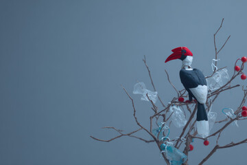 Hornbill perched on bare branch with red berries and plastic waste, minimal eco concept, blue background, environmental awareness, calm mood