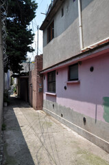 Cooacan streets - mexico 