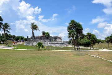 Obraz premium Tulum- Jaguar park 