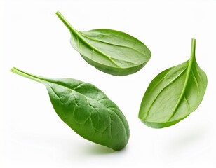 Fototapeta premium falling spinach isolated on white background cutout