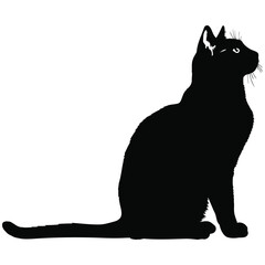 Elegant cat silhouette gracefully sitting, perfect for design projects and artistic visuals