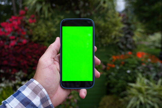 Gardener holding smartphone with green screen in botanical garden - Powered by Adobe