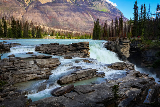 Powerful Athabasca Falls in Jasper National Park, cascading through a deep canyon surrounded by rugged cliffs and forest.