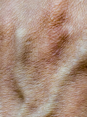 Fototapeta premium Close up of wrinkled human skin texture with natural lines and details