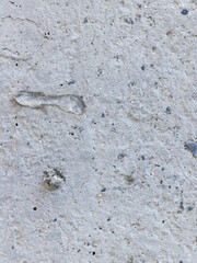 Rough concrete wall texture with small imperfections and pebble marks