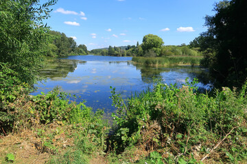 Reflections in the lake at Leybourne