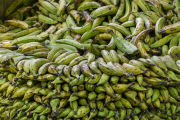 Large pile of green plantains stacked for sale or transport.