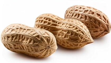 Obraz premium Row of Peanuts Isolated on White Background – Full Depth of Field