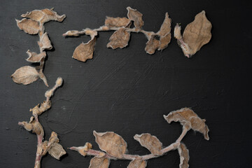 hojas secas cafés, con textura de vellosidad, enmarcando un rectángulo sobre madera grunge negra