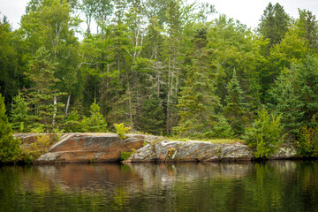 Obraz premium A river in Michigan