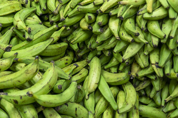 Fresh green plantains piled up for wholesale or export preparation.