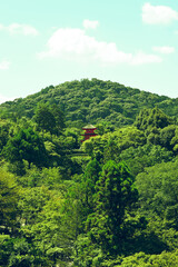 Obraz premium Kiyomizu-dera