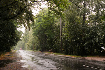 Naklejka premium Ulica po deszczu