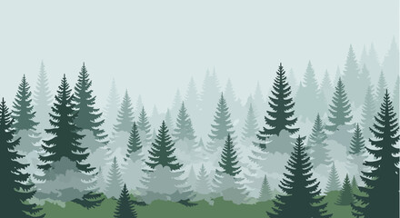 Fototapeta premium Misty Evergreen Forest In The Wilderness Coniferous Silhouette Vector