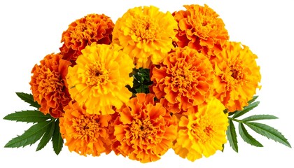 Orange marigold bouquet