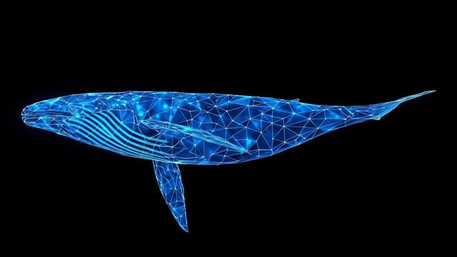 A digital blue whale consisting of a polygonal sea animal design against a dark background, featuring intricate geometric patterns and a futuristic aesthetic. 4k video