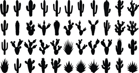 Cactus silhouette collection, desert plant vector, black cactus icon, succulent shapes, botanical illustration, nature elements, prickly design set