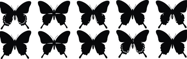 Butterfly silhouettes, insect outlines, wing patterns, nature, wildlife, entomology, lepidoptera, flying insects, biodiversity,