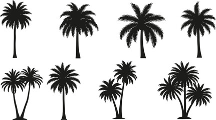 Palm tree silhouette collection, tropical summer tree illustration, black coconut palm vector design, beach tree isolated elements for decoration