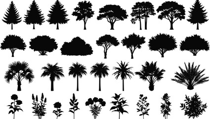 Silhouette trees, palms, and plants vector set, black nature elements, forest icons, tropical foliage, landscape design, garden illustration