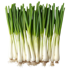Obraz premium A fresh bunch of green onions with white bulbs and long green stalks showcasing their vibrant color and texture isolated on transparent background