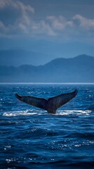 Fototapeta premium Whale tail emerging deep blue ocean marine wildlife mobile wallpaper and travel inspiration background