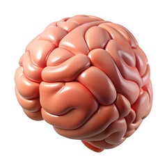 Realistic 3d render of a human brain isolated on transparent background