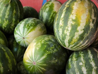 watermelons and melons