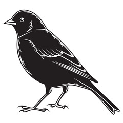 Vintage Monochrome Bird Illustration: Elegant Silhouette of a Small Songbird, Profile View.