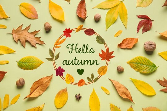 Text HELLO, AUTUMN, nuts and leaves on green background