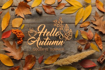 Text HELLO, AUTUMN, acorns, berries and leaves on wooden background
