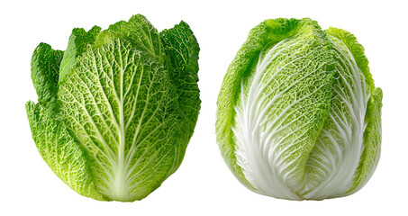 Fototapeta premium Fresh Cabbage Heads Isolated on Transparent Background for Food Use