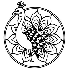 Elegant Peacock Flower Illustration